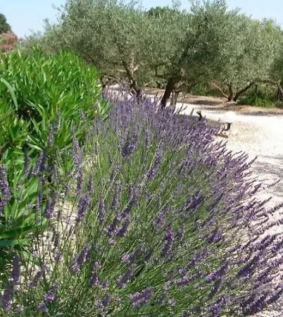 Holiday home Le Mazet 40 Saint-Remy-de-Provence