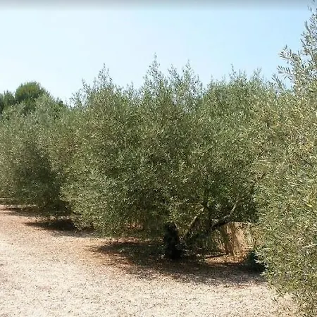Le Mazet 40 * Saint-Remy-de-Provence
