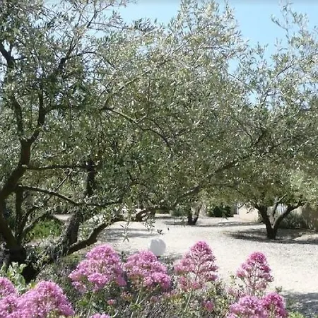 Le Mazet 40 Holiday home Saint-Remy-de-Provence